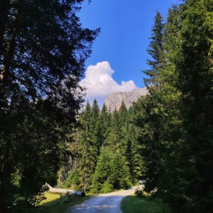 Le parc national du Durmitor ⛰️ 🇲🇪.#montenegro #landscape #durmitor